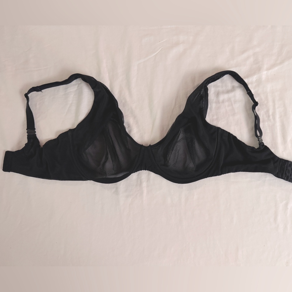 Nueskin Sheer Unlined bra in 36DDD